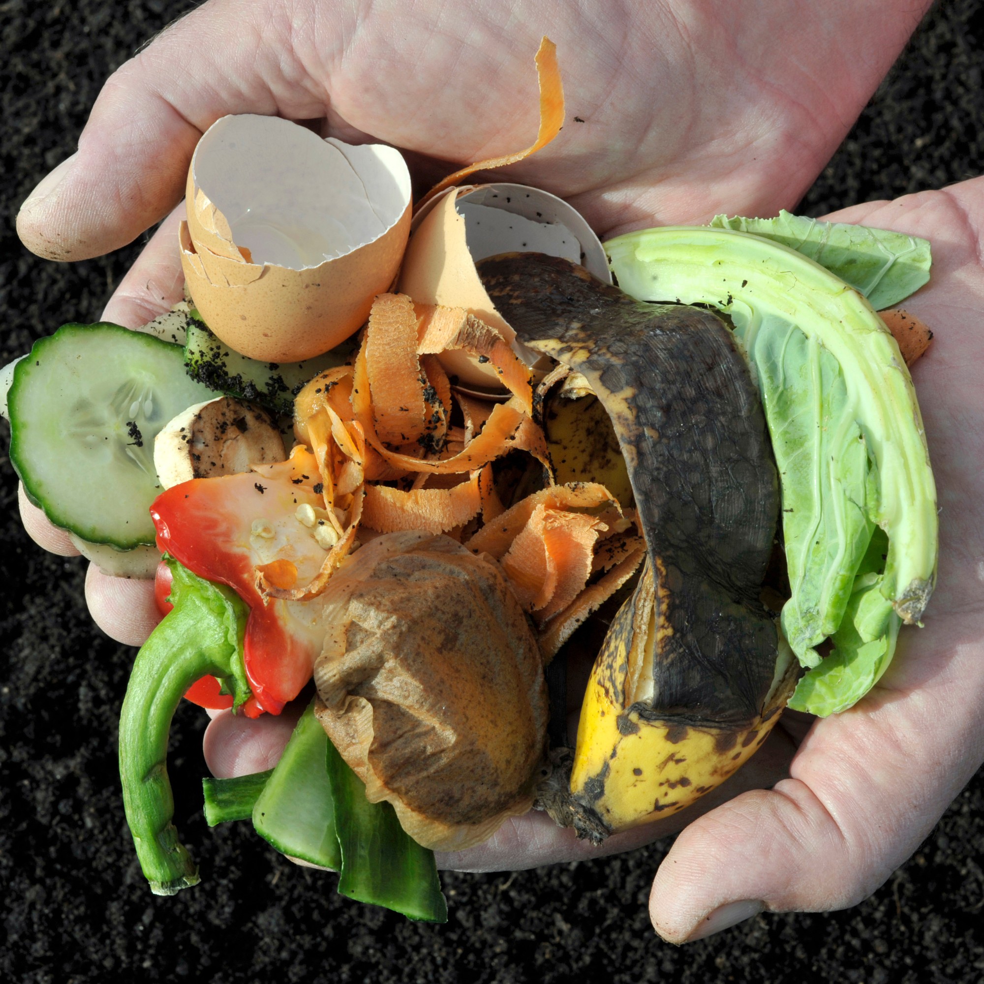 Different Ways to Compost at Home