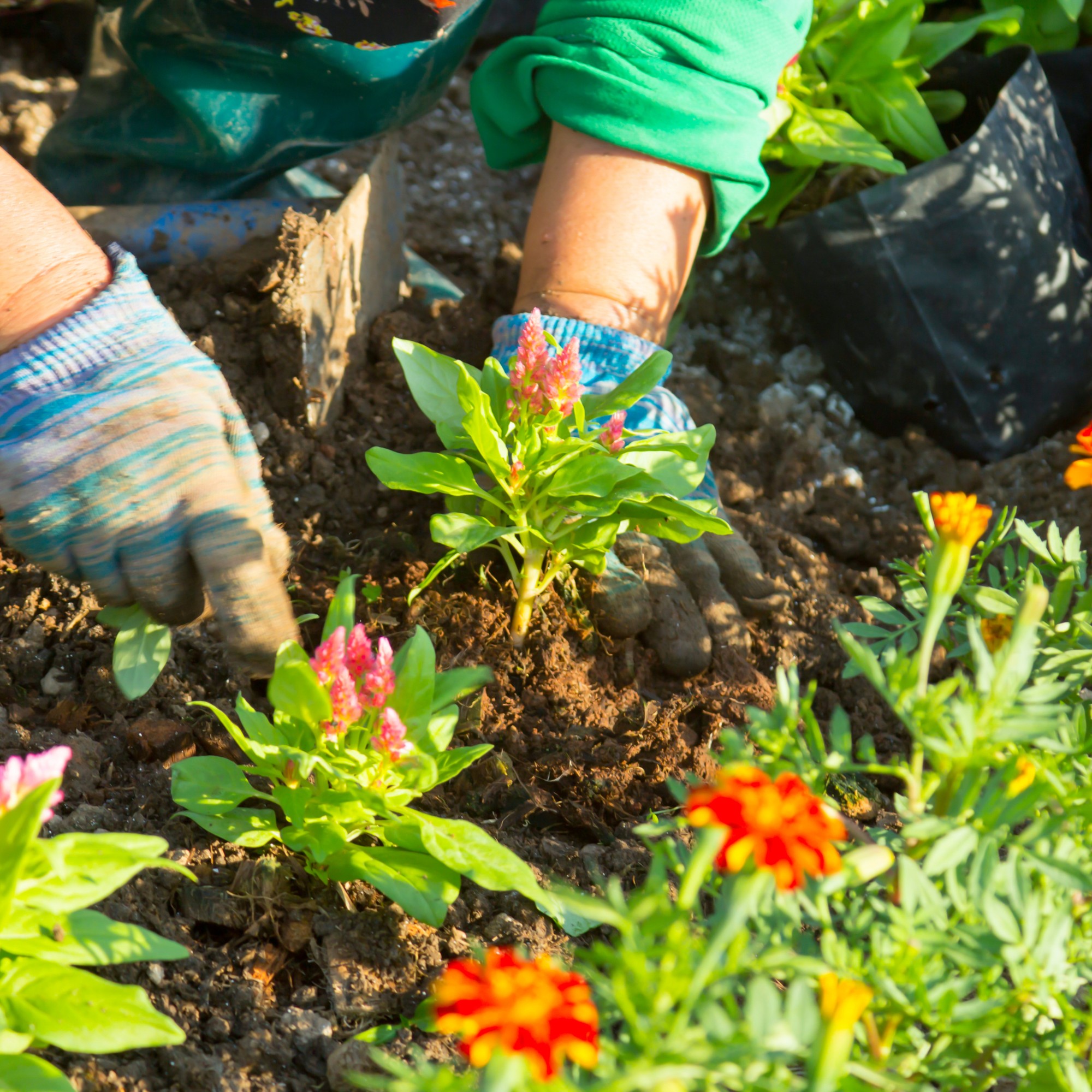 Why Compost at Home?